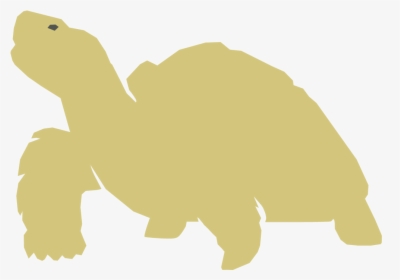 Brendan Mcleod - Galápagos Tortoise, HD Png Download, Free Download