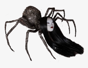 #spider #bug #insect #arachnid #woman #fake #japan - Insect, HD Png Download, Free Download