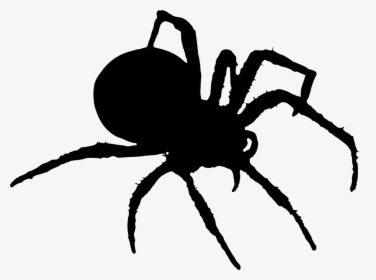 Spider Silhouette Png, Transparent Png, Free Download