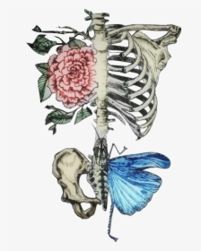#skeleton #ribcage #roses #floral #bonewitch #humanbones - Floral Rib Cage Skeleton Tattoo, HD Png Download, Free Download