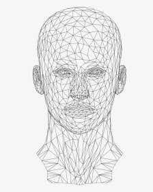 Wireframe Face Png, Transparent Png, Free Download