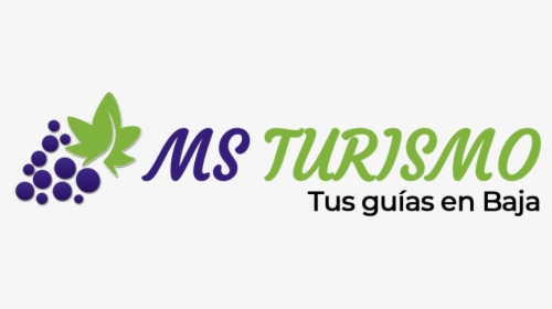 Turismo Ms - Calligraphy, HD Png Download, Free Download