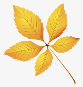 Желтый Лист, Осенняя Листва, Осень, Yellow Leaf, Autumn - Chestnut Leaf Clipart, HD Png Download, Free Download