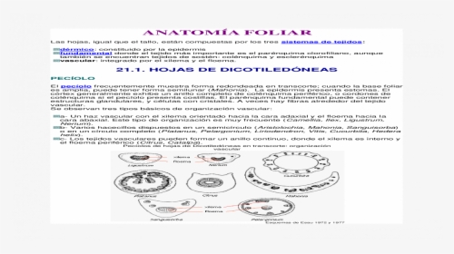Circle, HD Png Download, Free Download