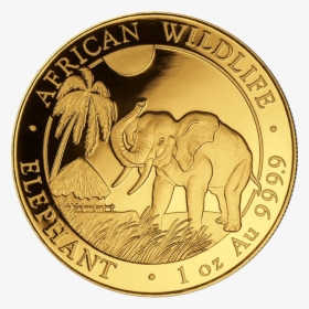 Elephant Gold Coin 2017, HD Png Download, Free Download