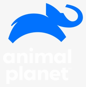 Bindi & The Otters - New Animal Planet Logo, HD Png Download, Free Download