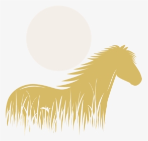 Picture - Mane, HD Png Download, Free Download