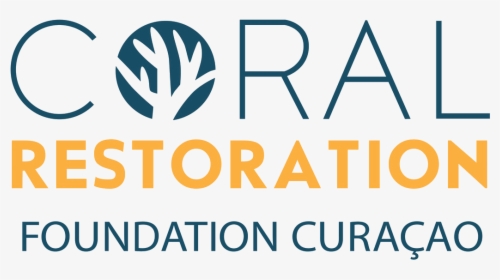 Coral Restoration Foundation Curacao - Crf Curacao, HD Png Download, Free Download