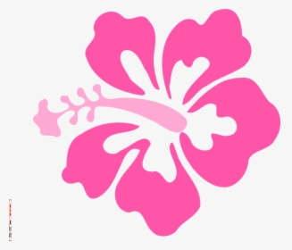 Transparent Moana Clipart Png Vector Red Flowers Png Png Download Kindpng