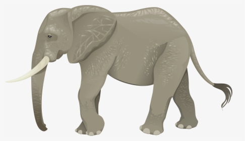 Elephant Vector Graphics Portable Network Graphics - Transparent Clip Art Elephant, HD Png Download, Free Download