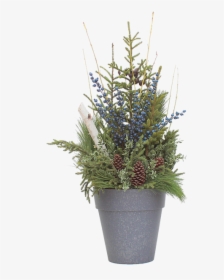 Spruce Tip Container With Blueberries - Flowerpot, HD Png Download, Free Download