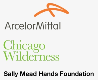 Arcelor Mittal, HD Png Download, Free Download