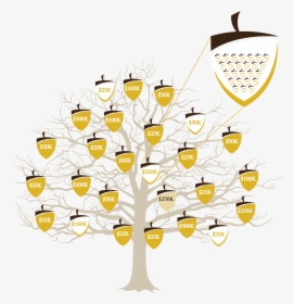 Acorns Png, Transparent Png, Free Download