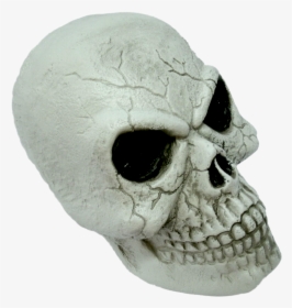 Skull, HD Png Download, Free Download