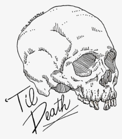 Image Of "til Death Skull Sticker - Drawing, HD Png Download, Free Download