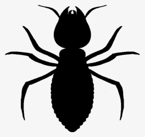 Termite Transparent Png - Dibujo Cucaracha Png, Png Download, Free Download