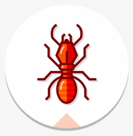 Circle Termite Color - Ant, HD Png Download, Free Download