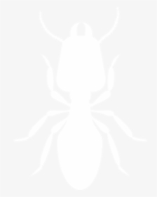 Termite, HD Png Download, Free Download