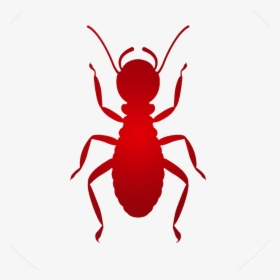 Ant, HD Png Download, Free Download