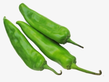 Transparent Green Peppers Clipart - Transparent Green Chili Png, Png Download, Free Download