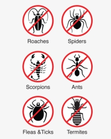 Plus Termite Protection Icons - Illustration, HD Png Download, Free Download