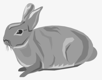 Hd Animals Clip Art - Transparent Background Rabbit Clipart Transparent, HD Png Download, Free Download