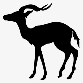 african gazelle silhouette
