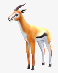 Download Zip Archive - Zoo Tycoon Thomson's Gazelle, HD Png Download, Free Download