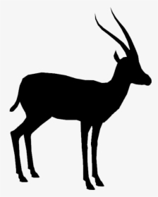 Gazelle Silhouette - Transparent Background Deer Silhouette Png, Png Download, Free Download
