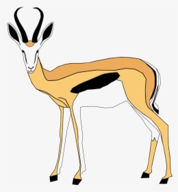Springbok Clipart, HD Png Download, Free Download