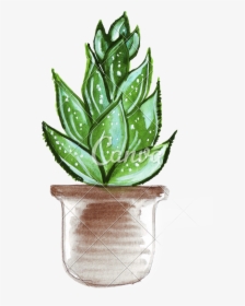 Transparent Cactus Png - Drawing Cactus Transparent Background, Png Download, Free Download