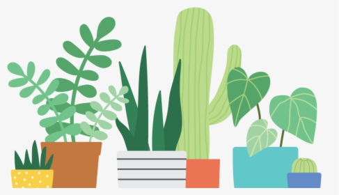Why Choose Us Specialty - Artsy Cactus, HD Png Download, Free Download