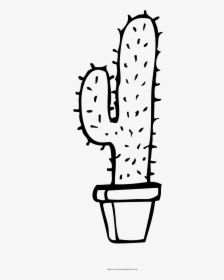 Cactus Coloring Page - Eastern Prickly Pear, HD Png Download, Free Download