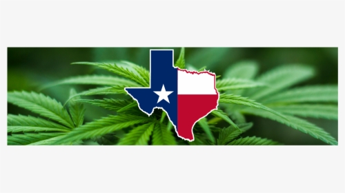 Sign The Petition For Marijuana Legalization In Texas - San Francisco Is Weed Legal, HD Png Download, Free Download