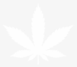 Doctors Of Cannabis Logo, HD Png Download, Free Download