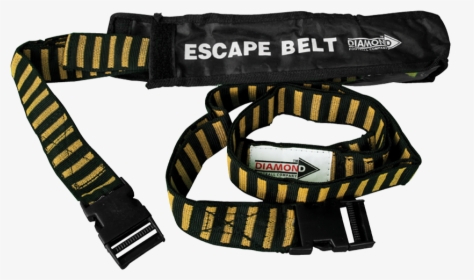 Belt, HD Png Download, Free Download