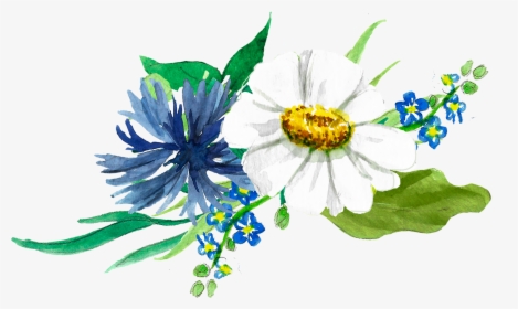 Chamomile Drawing, HD Png Download, Free Download