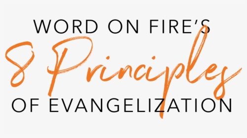 Transparent Line Of Fire Png - Sarah Chelle - Naturopath, Png Download, Free Download