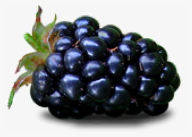 Blackberry Fruit Png Transparent Images - Purple Colour Fruit Name, Png Download, Free Download
