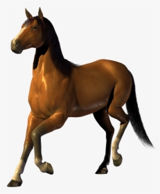 Horse Png Image, Free Download Picture - Horse With Clear Background, Transparent Png, Free Download