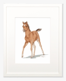 Baby Horse Wall Art"  Class= - Baby Horse Png, Transparent Png, Free Download