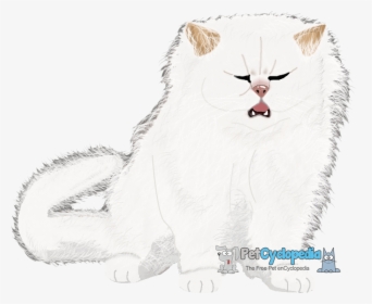 Cat Yawns, HD Png Download, Free Download