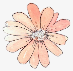 Tumblr Drawing Watercolor Peach Flower - Flowers Png Tumblr Draw, Transparent Png, Free Download