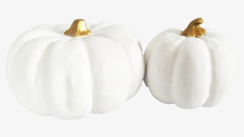 White Pumpkin Transparent, HD Png Download, Free Download