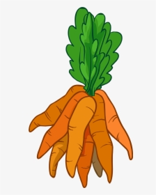 Image - Bunch Of Carrots Clipart, HD Png Download, Free Download