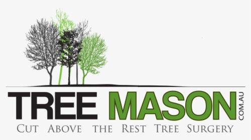 Tree Mason, HD Png Download, Free Download