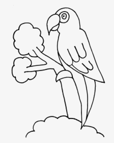 Bird Colouring Png, Transparent Png, Free Download