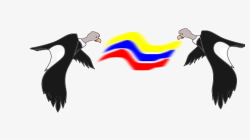 Condor Colombiano - Imagenes De Condores Colombianos, HD Png Download, Free Download