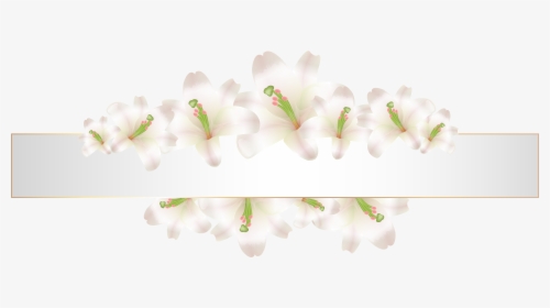 Soft Deco Banner With Flowers Png Clip Art - White Flowers Banner Png, Transparent Png, Free Download