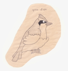 Habitat Drawing Bird, HD Png Download, Free Download